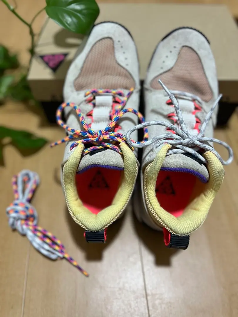 2026年最新】acg dog mountainの人気アイテム - メルカリ