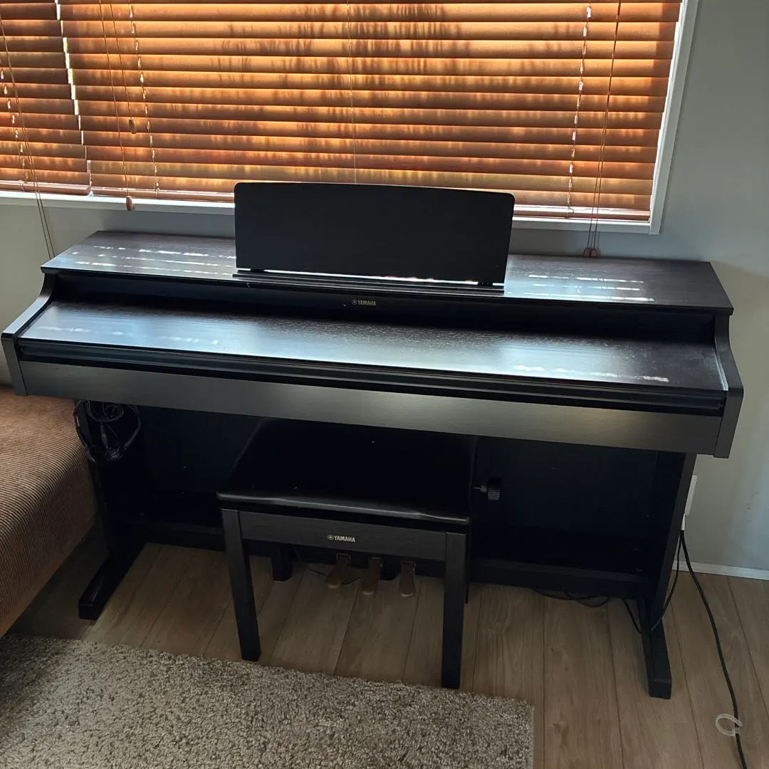 2026年最新】ARIUS ydp-163の人気アイテム - メルカリ