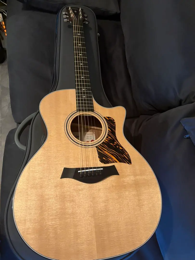 2026年最新】TAYLOR 314ce v-classの人気アイテム - メルカリ