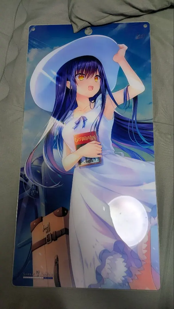 2026年最新】久島鴎 タペストリーの人気アイテム - メルカリ