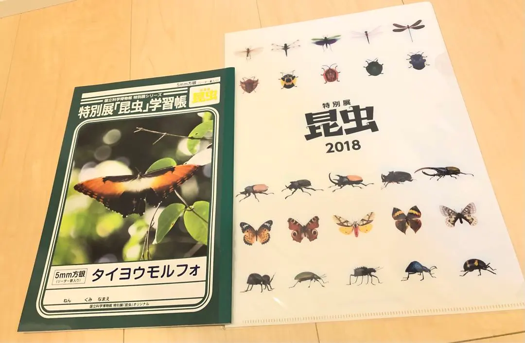2026年最新】特別展 昆虫の人気アイテム - メルカリ