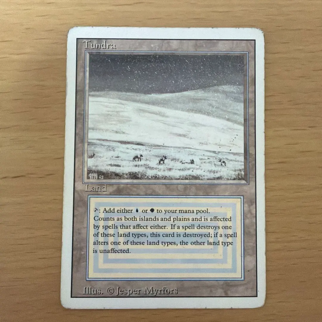 2026年最新】tundra mtgの人気アイテム - メルカリ