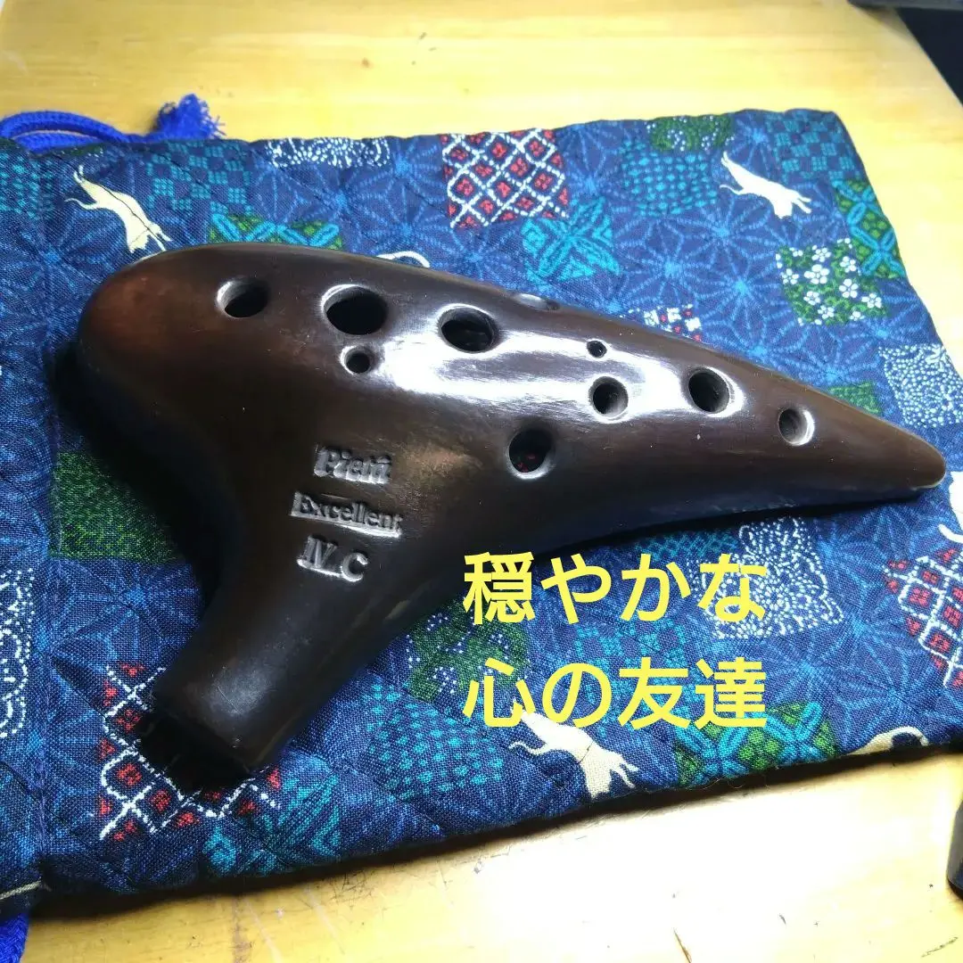 2026年最新】オカリナ ピエタの人気アイテム - メルカリ