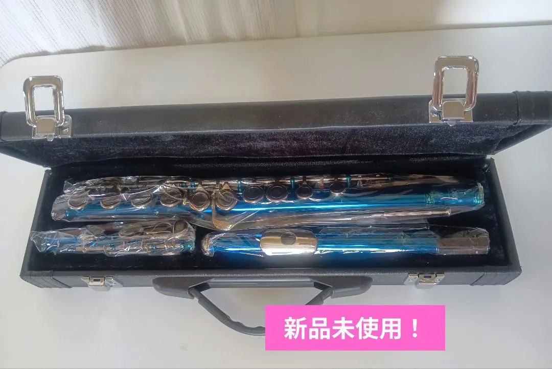 2026年最新】SLADE フルートの人気アイテム - メルカリ