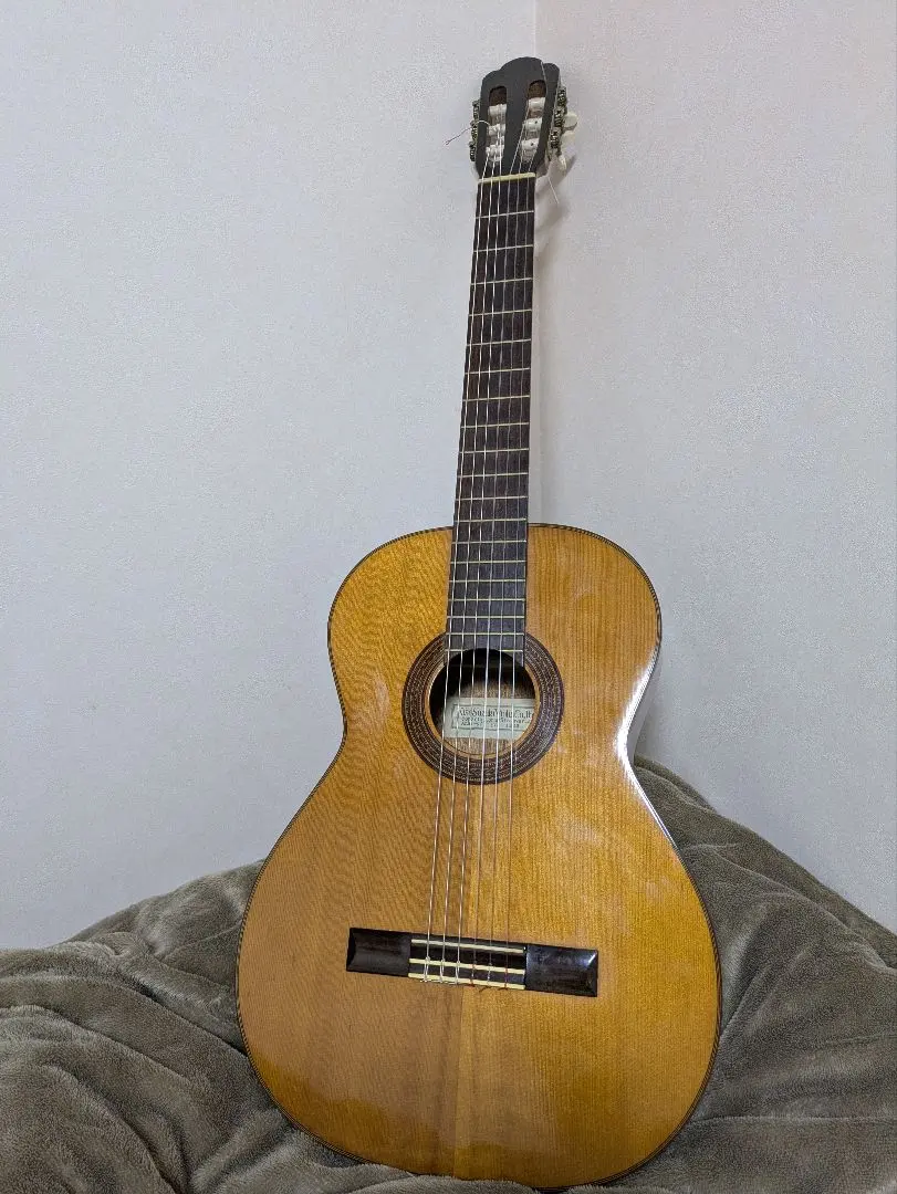 2026年最新】kiso suzuki ギターの人気アイテム - メルカリ