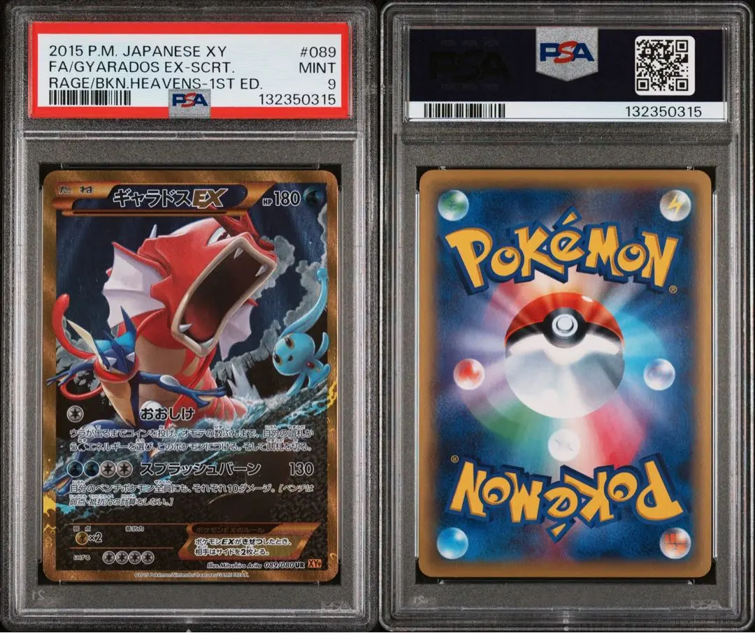 m73076275423_1.jpg?1768874620