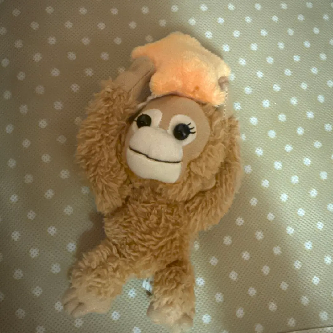 2026年最新】ベイビーココ&ナツの人気アイテム - メルカリ