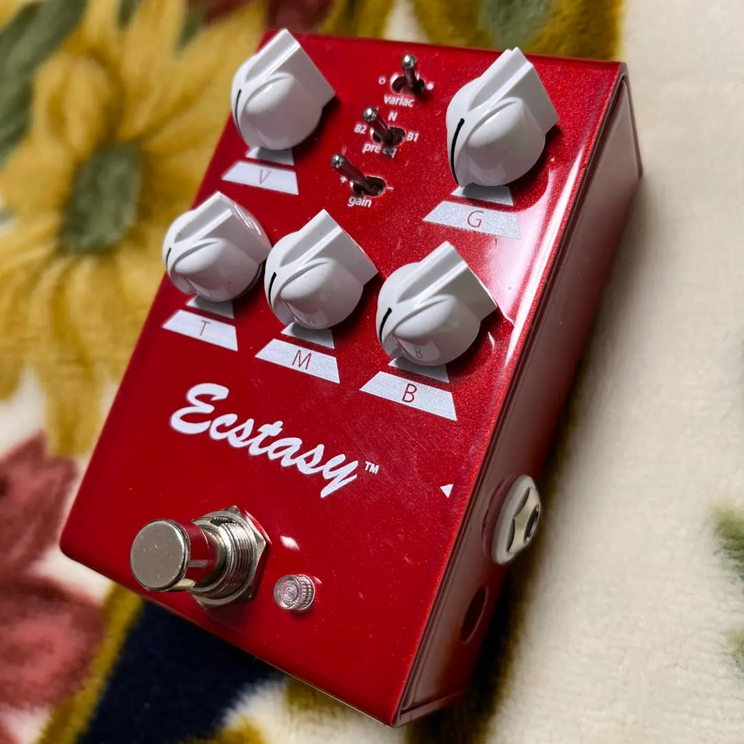 2026年最新】bogner ecstasy miniの人気アイテム - メルカリ
