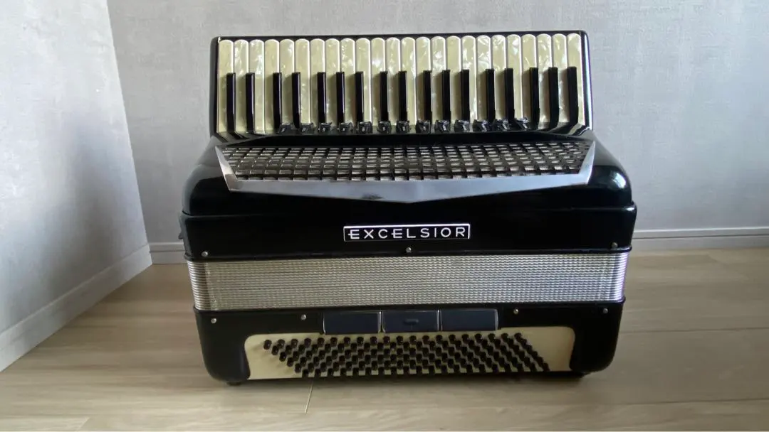 2026年最新】アコーディオン excelsiorの人気アイテム - メルカリ