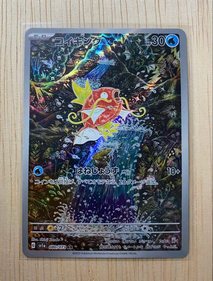 m74287560852_1.jpg?1772722459