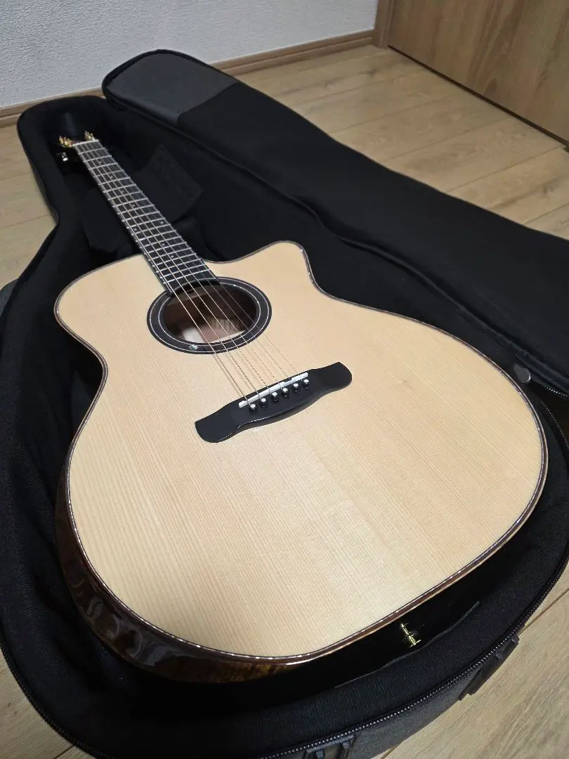 2026年最新】MERIDA guitarの人気アイテム - メルカリ