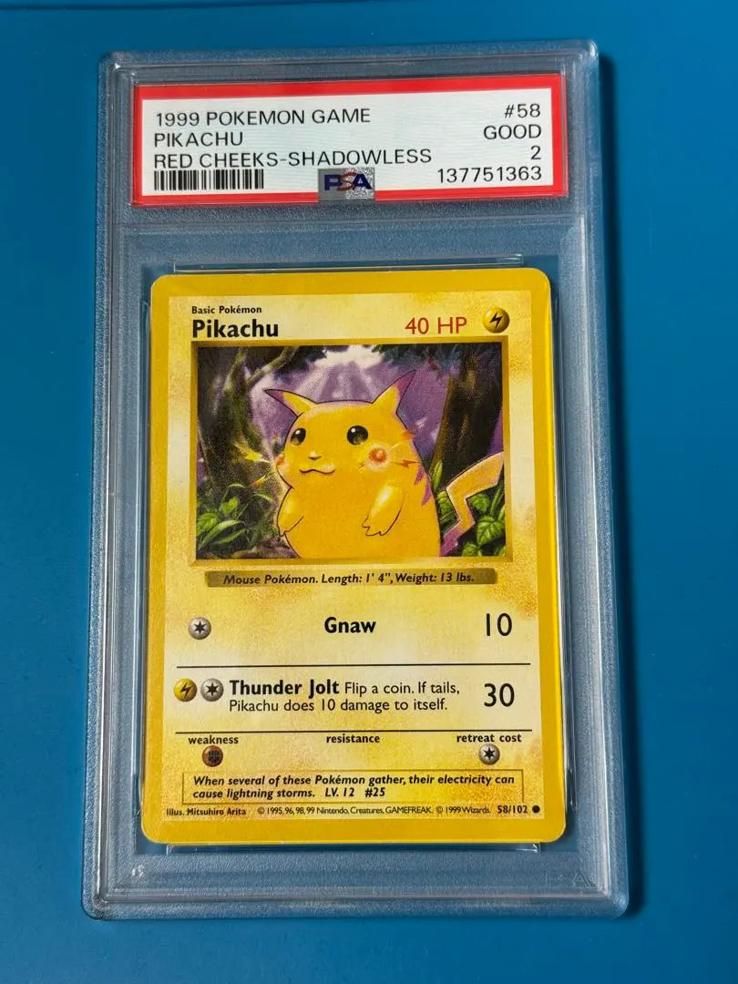 m75024073165_1.jpg?1768394920