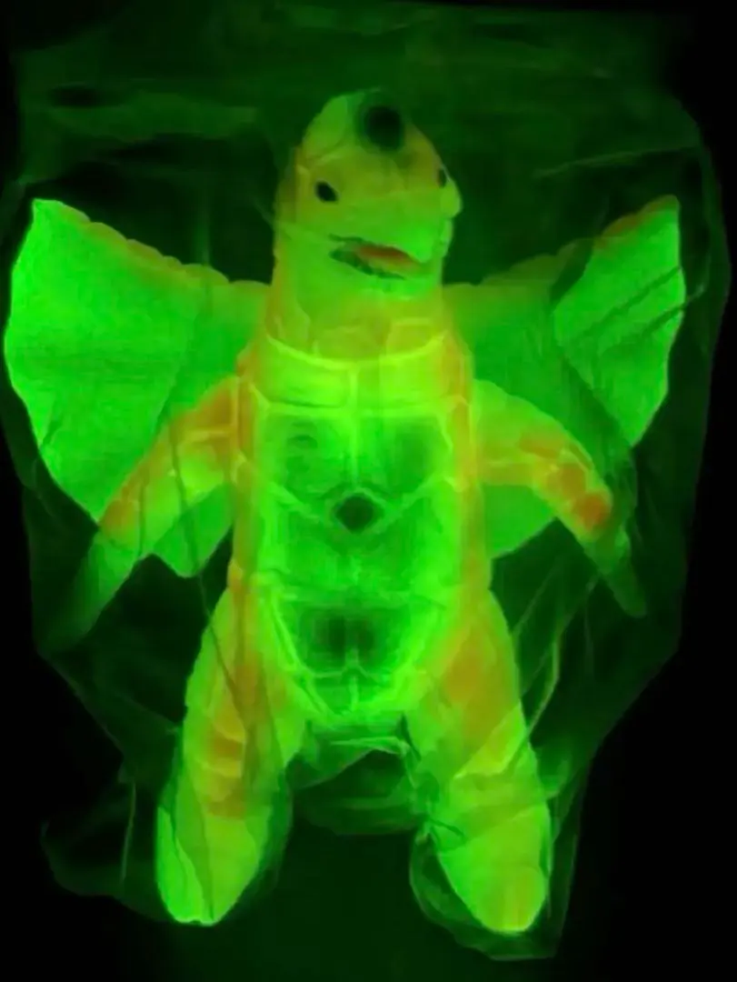 2026年最新】ブルマァク ドラコの人気アイテム - メルカリ