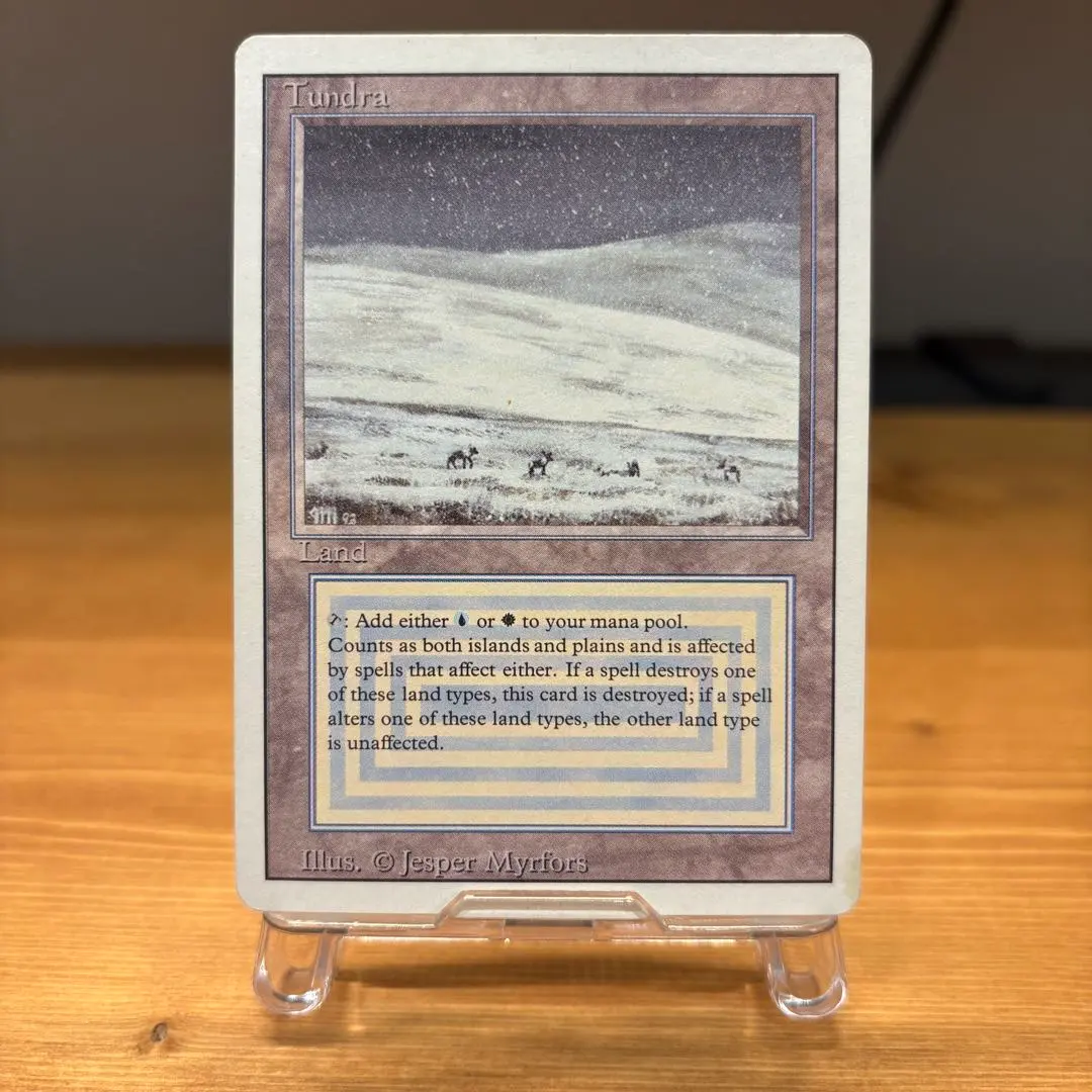 2026年最新】デュアルランド リバイズドの人気アイテム - メルカリ