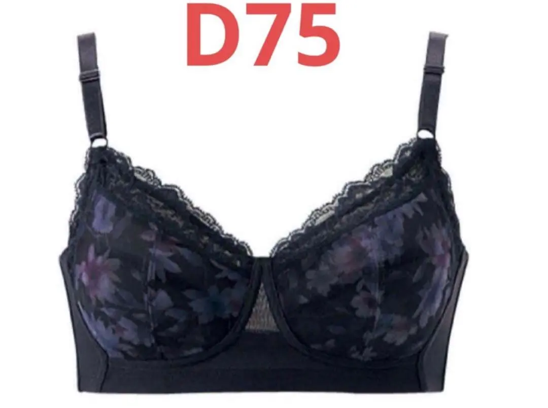 2026年最新】シャルレ ミライブラジャーの人気アイテム - メルカリ