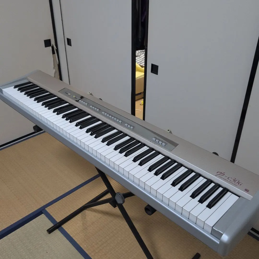 2026年最新】Columbia ピアノの人気アイテム - メルカリ