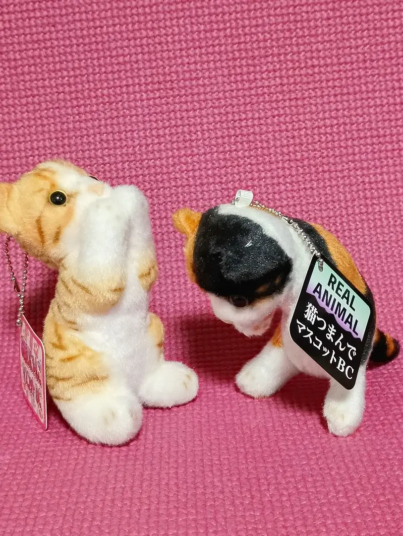 2026年最新】リアルアニマル猫つまんでマスコットBCの人気アイテム