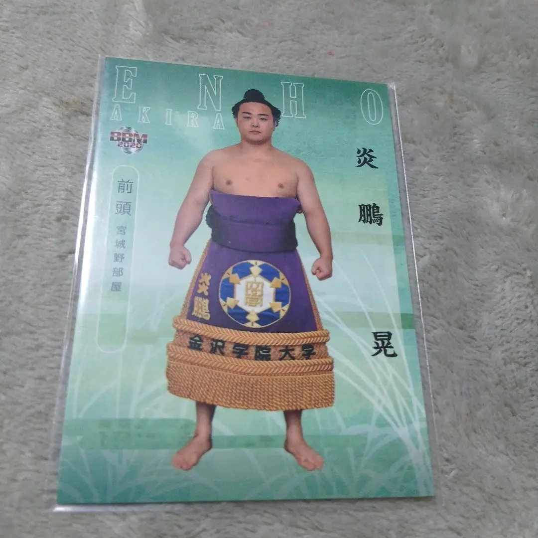 2026年最新】炎鵬 相撲の人気アイテム - メルカリ