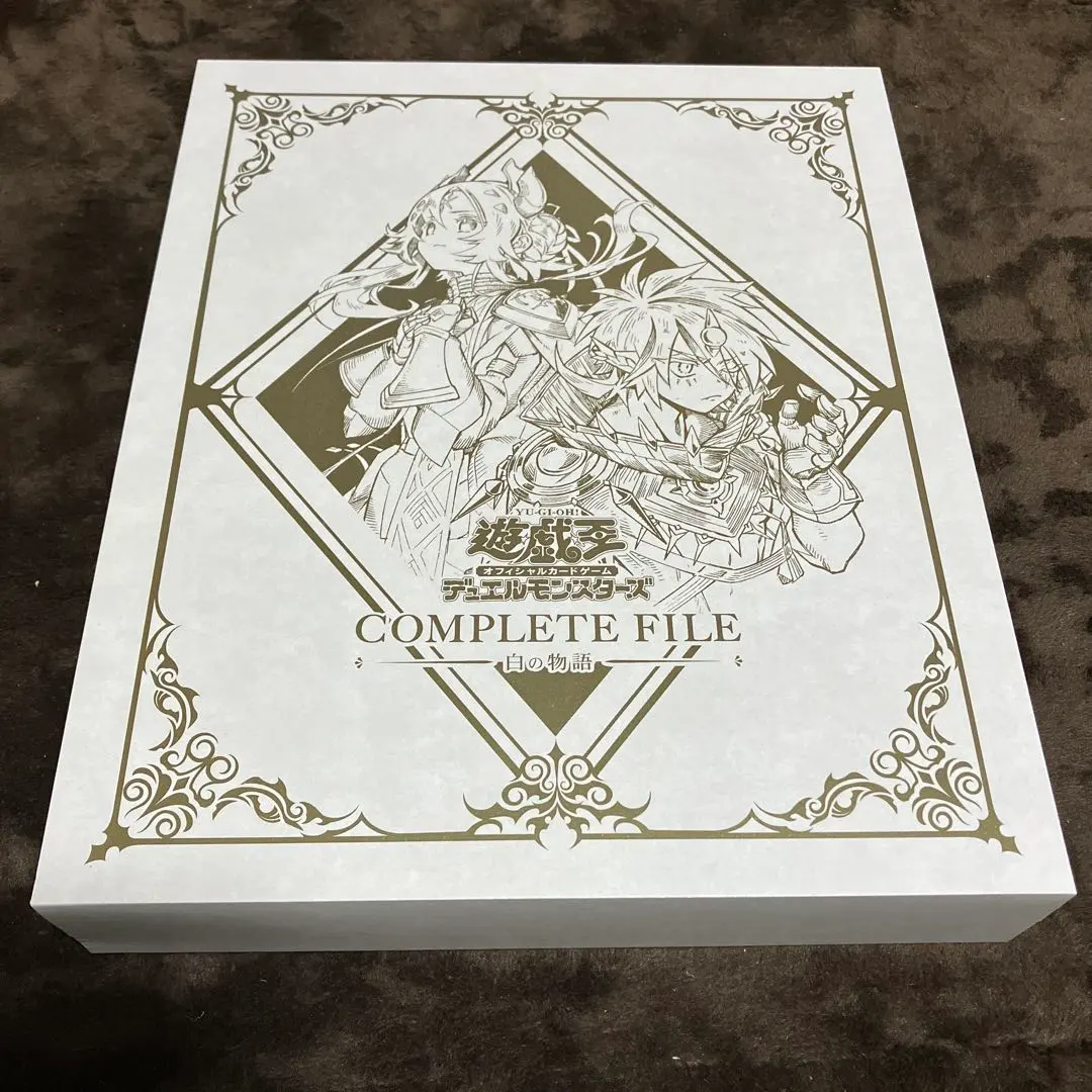 2026年最新】赫の聖女カルテシア イラスト違いの人気アイテム - メルカリ