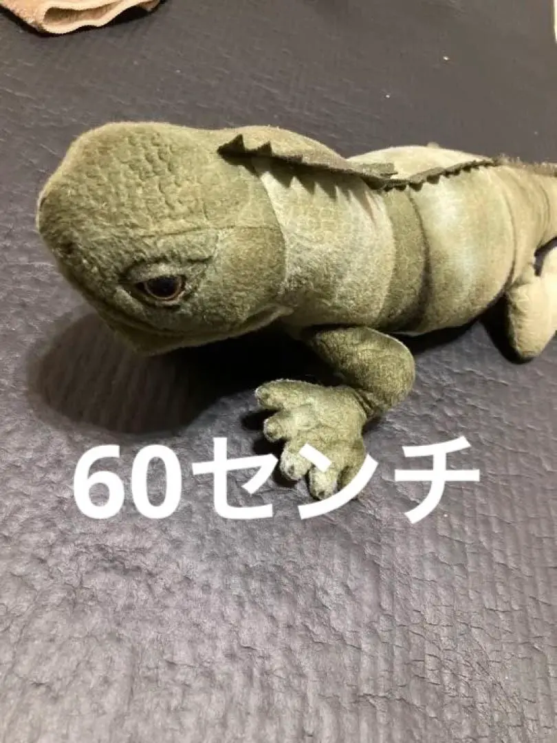2026年最新】イグアナ ぬいぐるみの人気アイテム - メルカリ