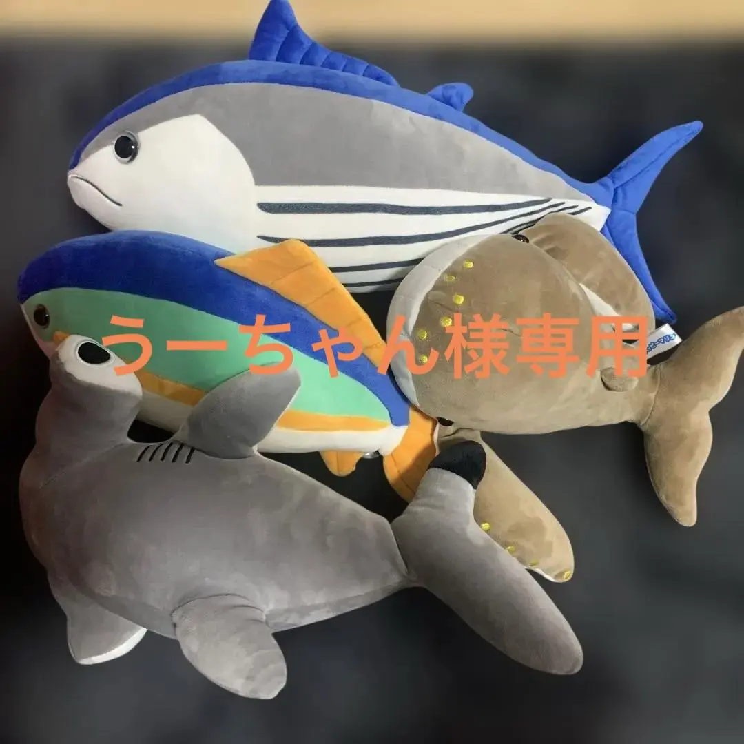 2026年最新】室戸廃校水族館の人気アイテム - メルカリ