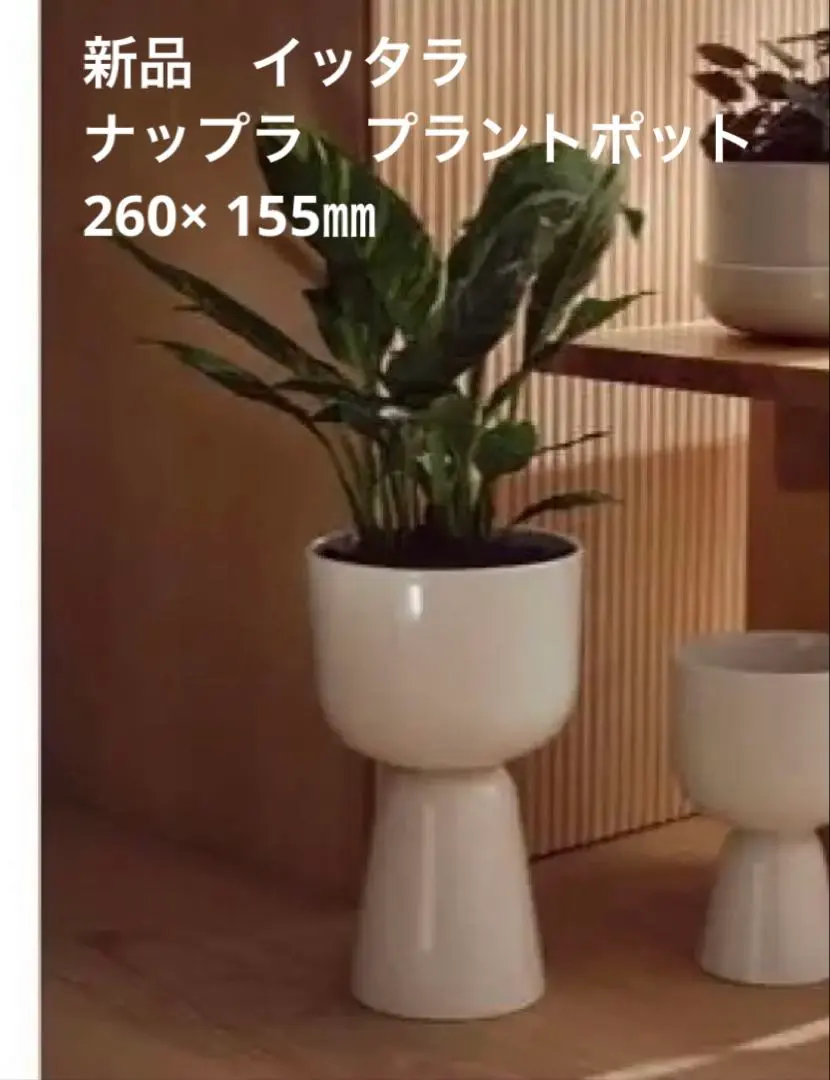 2026年最新】イッタラ ナップラの人気アイテム - メルカリ