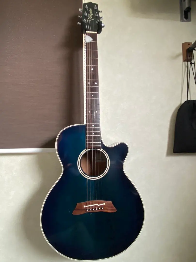 2026年最新】takamine pt 106の人気アイテム - メルカリ