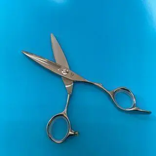2026年最新】笹刃シザーの人気アイテム - メルカリ