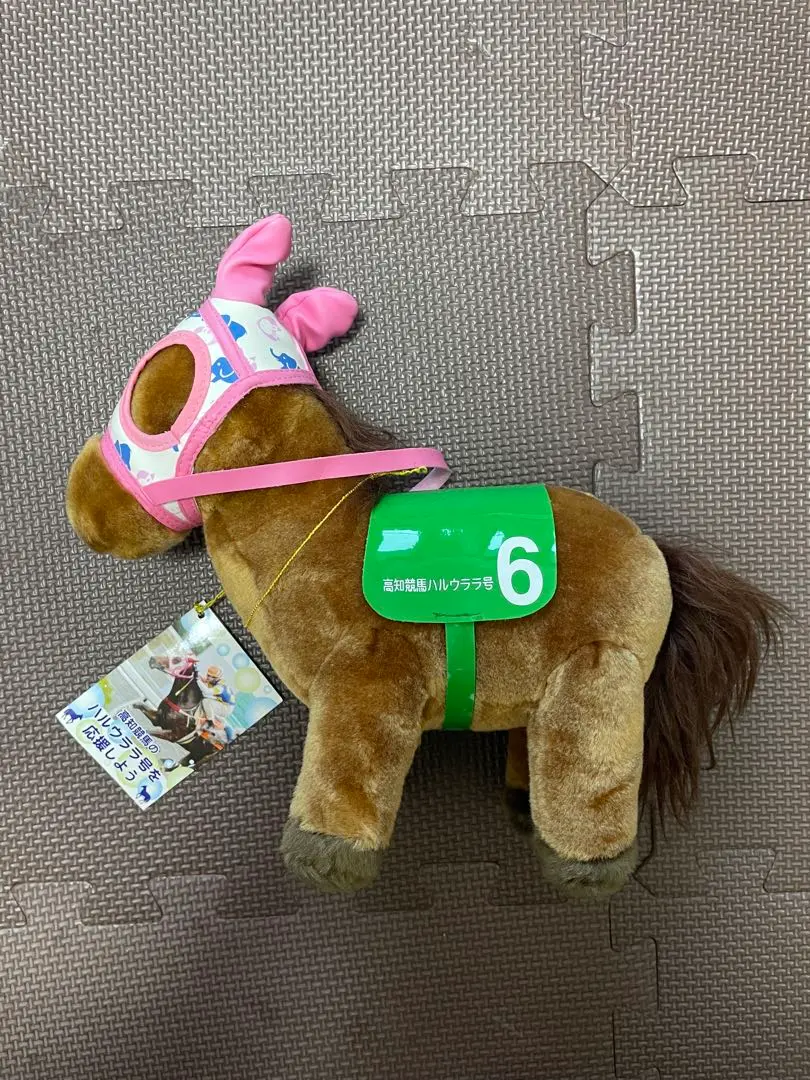 2026年最新】高知競馬ハルウララ号の人気アイテム - メルカリ