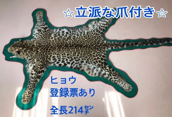 2026年最新】ヒョウ 剥製の人気アイテム - メルカリ