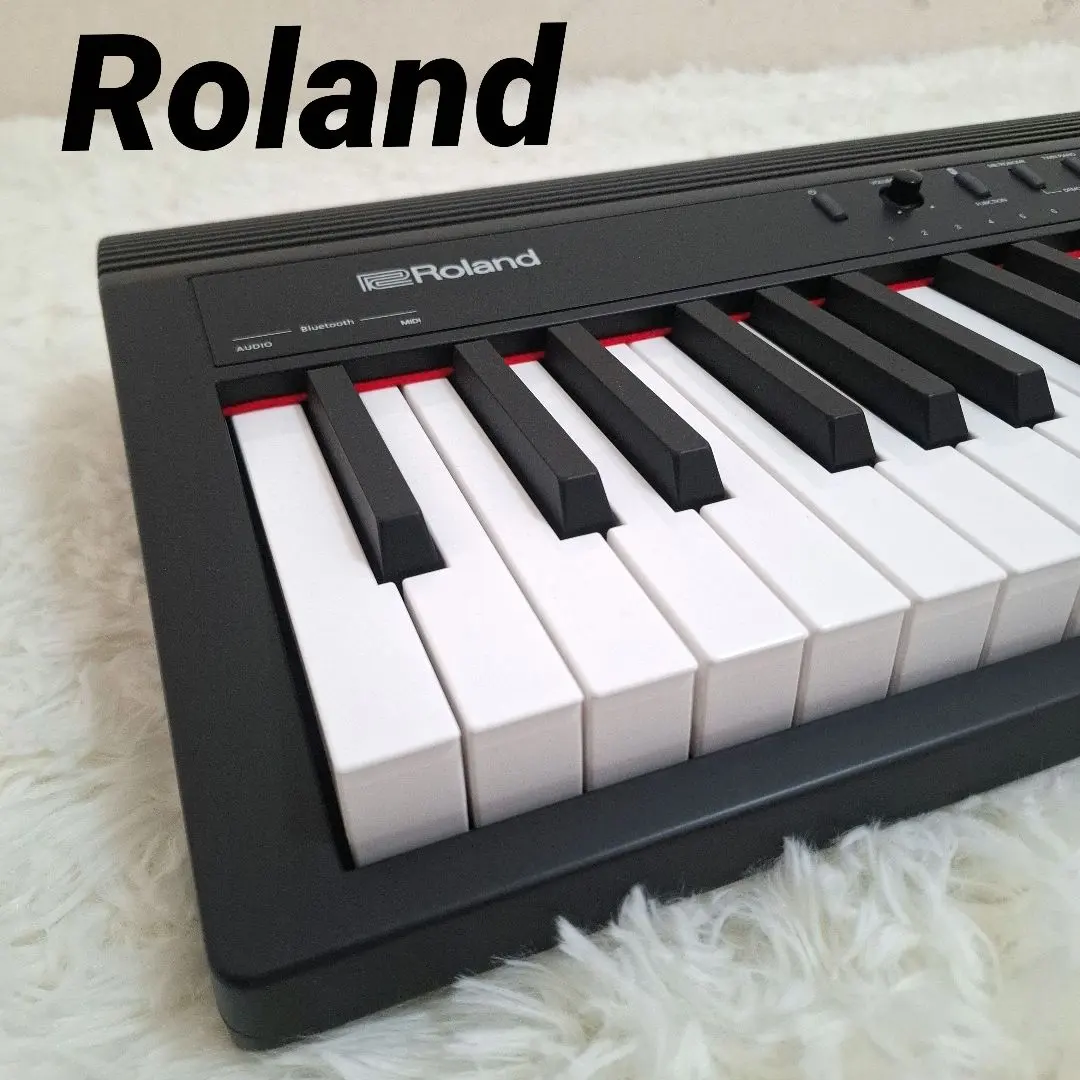 2026年最新】roland go piano88の人気アイテム - メルカリ