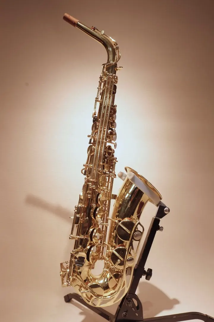 2026年最新】アルトサックス YAS-31の人気アイテム - メルカリ