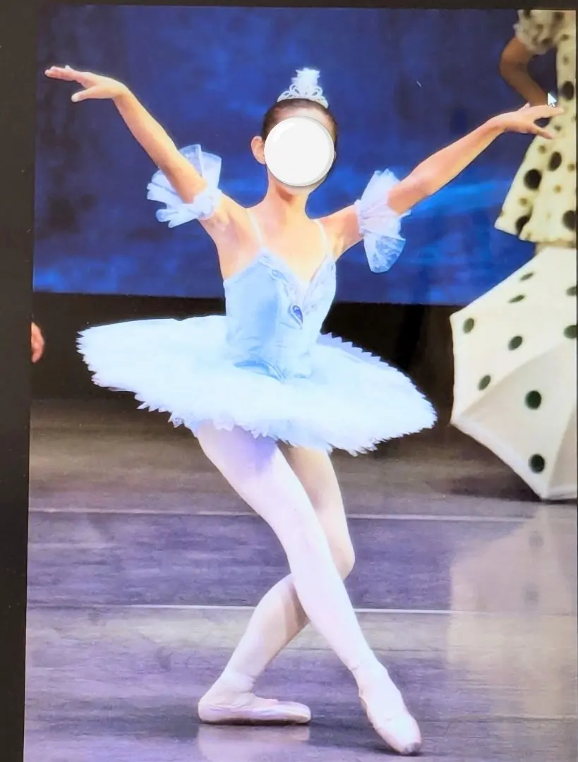 2026年最新】手作りバレエ・コスチューム: チュチュ・ドレス・男の子の