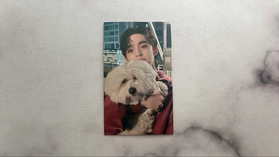 2026年最新】エスクプス クマ トレカの人気アイテム - メルカリ