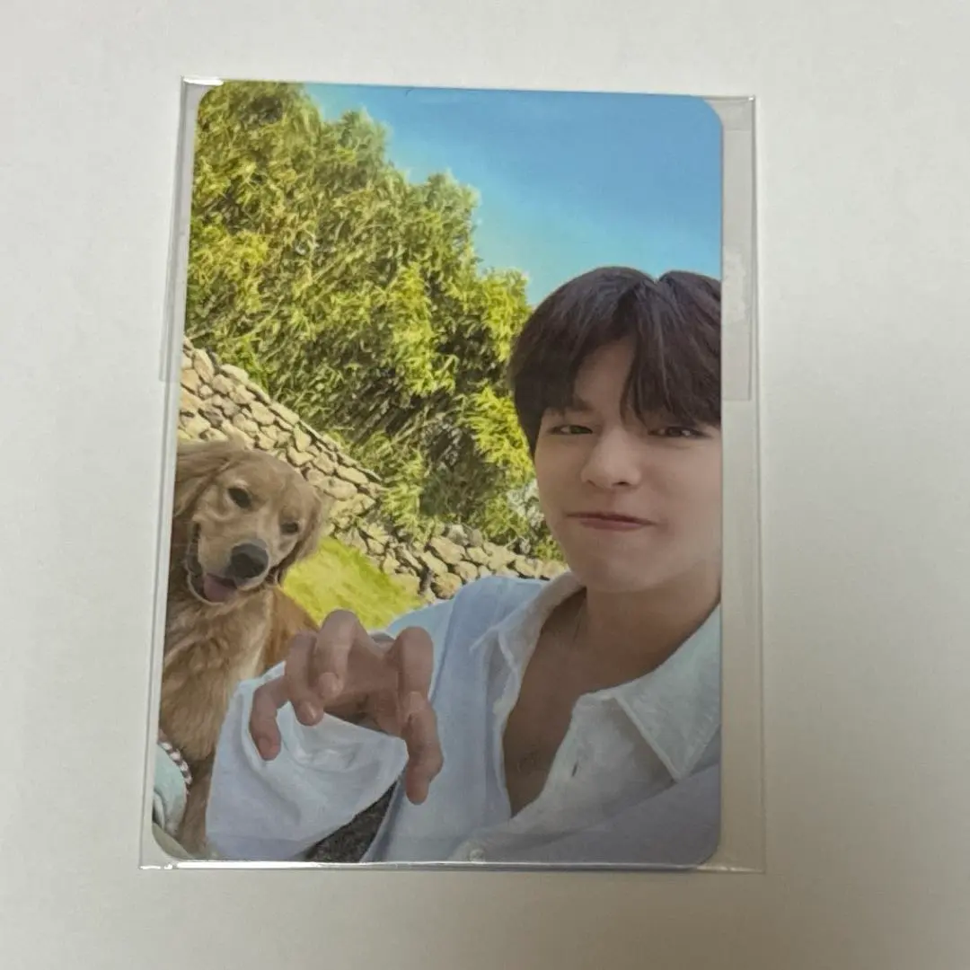 2026年最新】チェジュ スンミンの人気アイテム - メルカリ