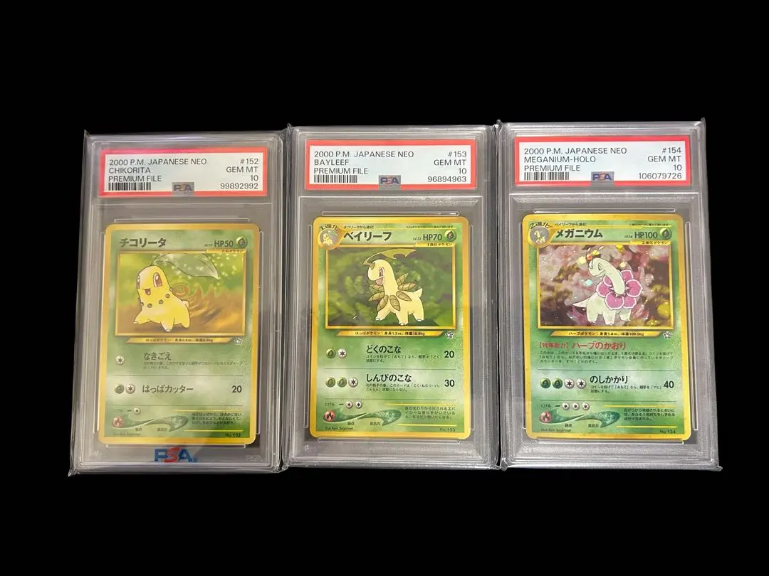 2026年最新】メガニウム 旧裏 psa10の人気アイテム - メルカリ