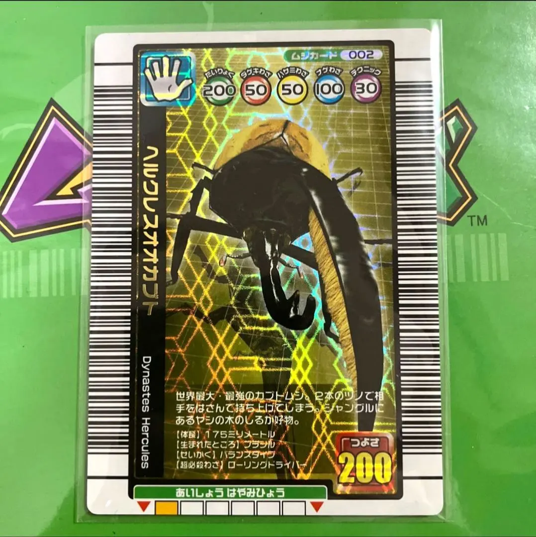 m79145832774_1.jpg?1735482704