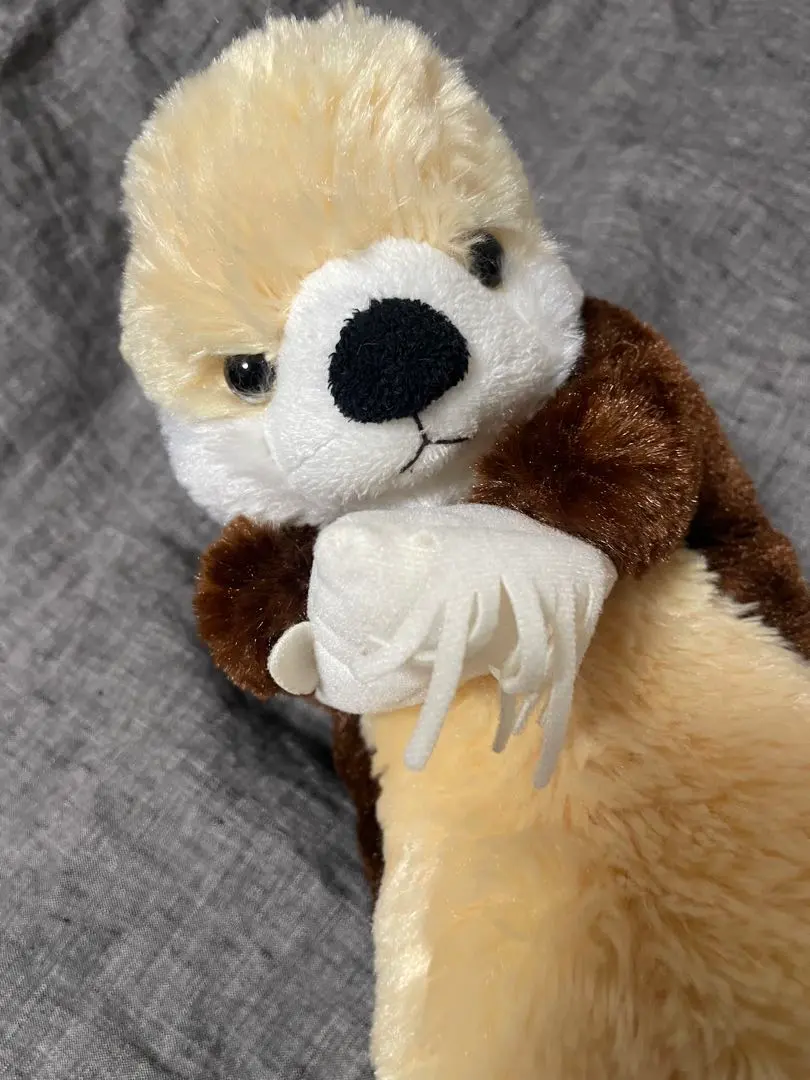 2026年最新】マリンワールド ラッコ ぬいぐるみの人気アイテム - メルカリ