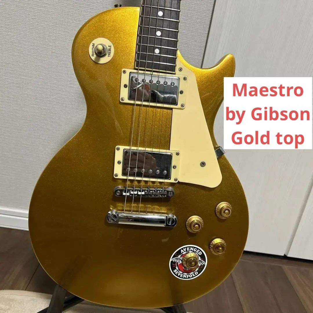 2026年最新】Gibson maestroの人気アイテム - メルカリ