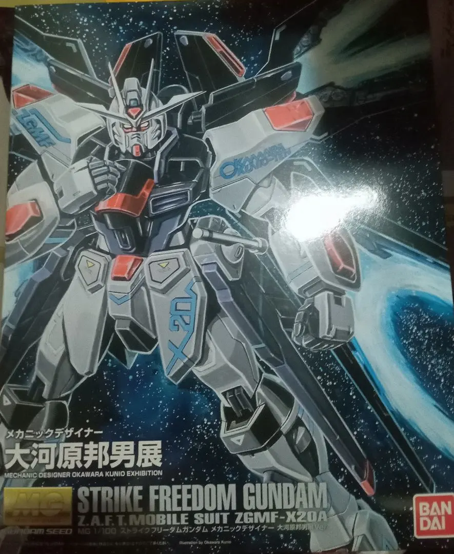 2026年最新】MG ストライクフリーダム 大河原邦男の人気アイテム