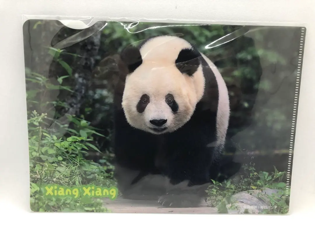 2026年最新】シャンシャン 非売品の人気アイテム - メルカリ