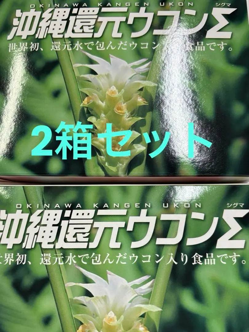 2026年最新】沖縄還元ウコンの人気アイテム - メルカリ