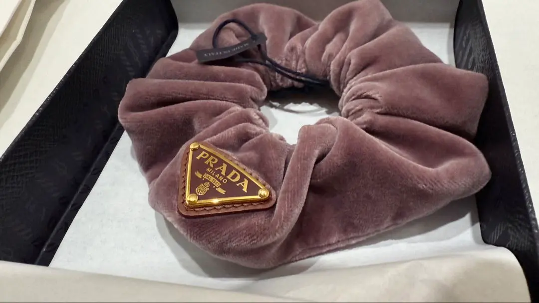 2026年最新】プラダ シュシュ ベロアの人気アイテム - メルカリ