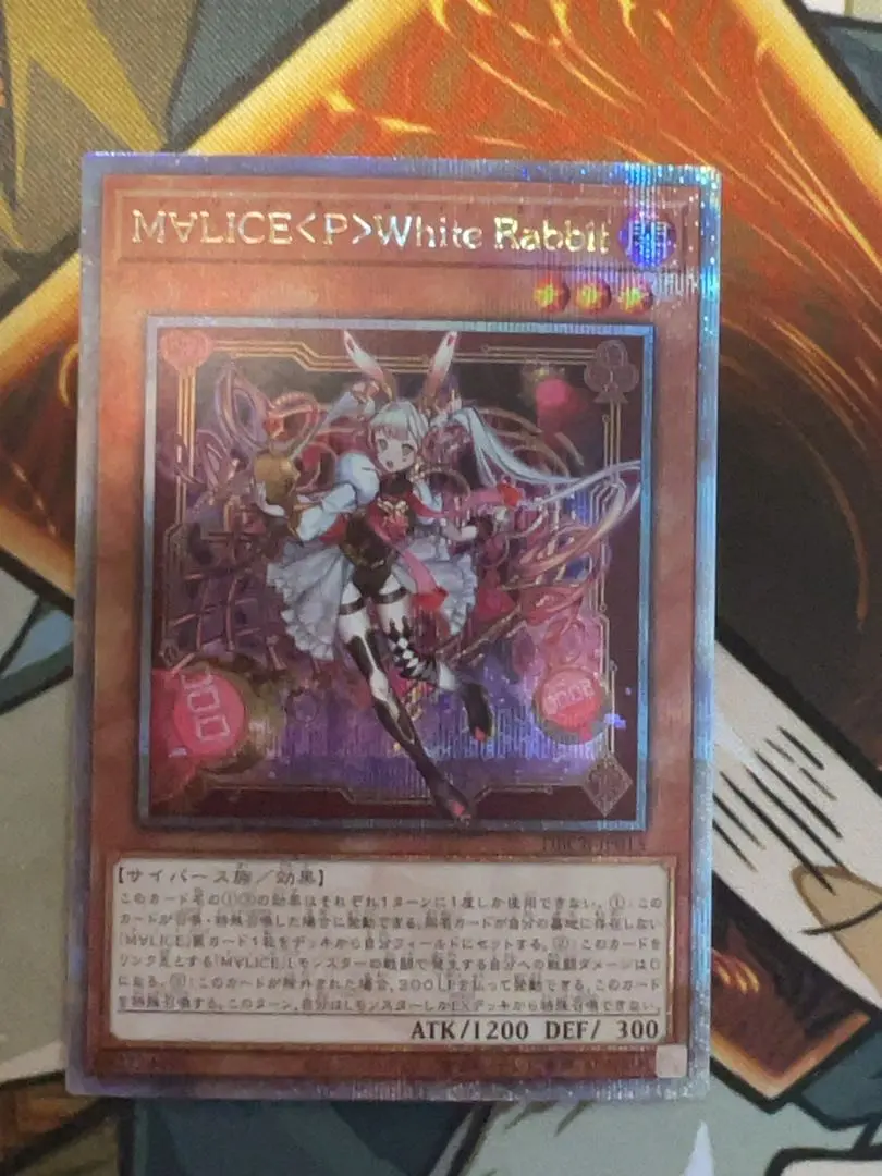 2026年最新】WhITE rabbit 25thの人気アイテム - メルカリ 2026年最新】WhITE rabbit 25thの人気アイテム - メルカリ