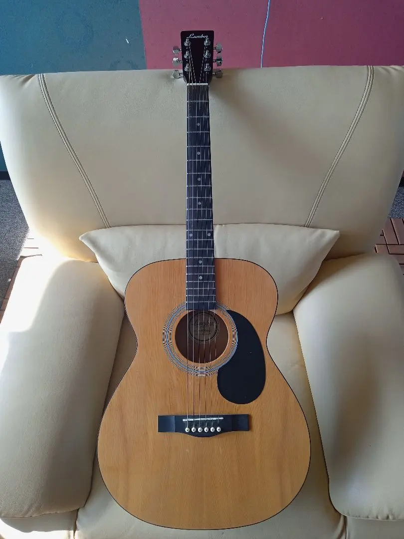 2026年最新】lumber ギターの人気アイテム - メルカリ