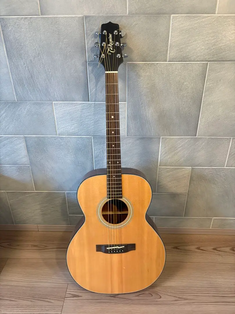 2026年最新】TAKAMINE TSA500の人気アイテム - メルカリ