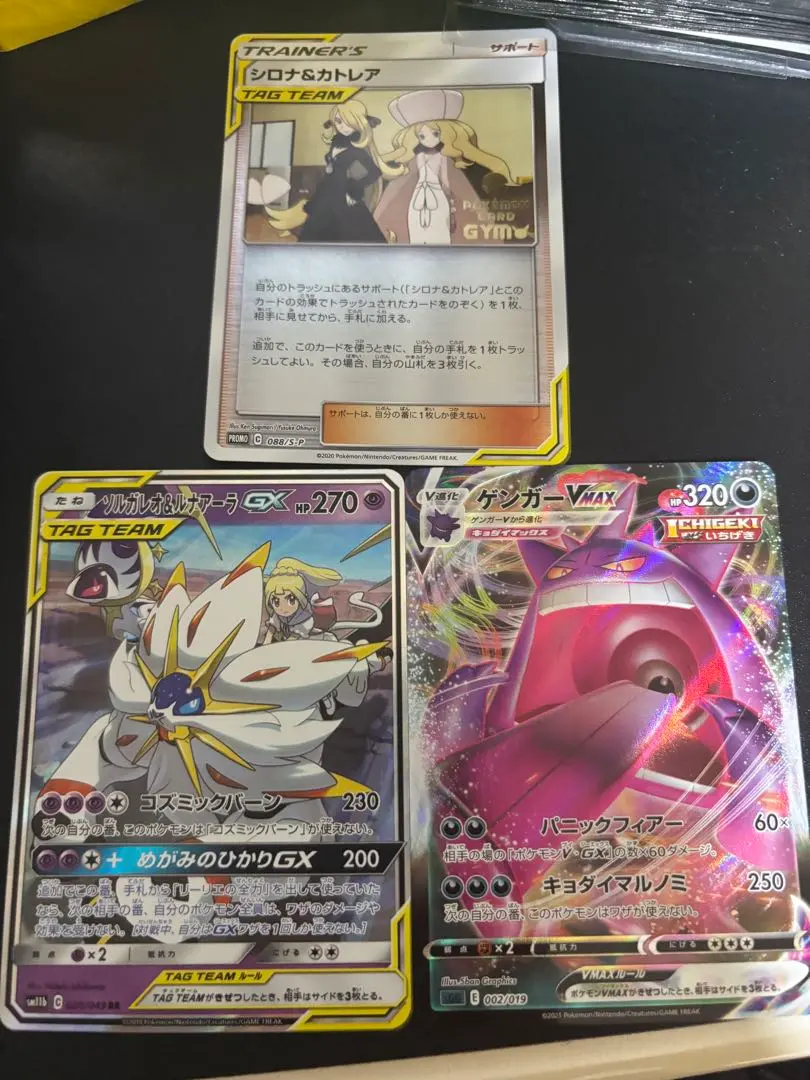 2026年最新】シロナ&カトレア ジムプロモの人気アイテム - メルカリ