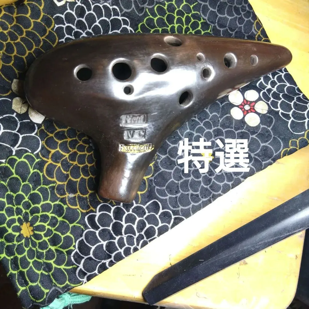 2026年最新】オカリナ ピエタの人気アイテム - メルカリ