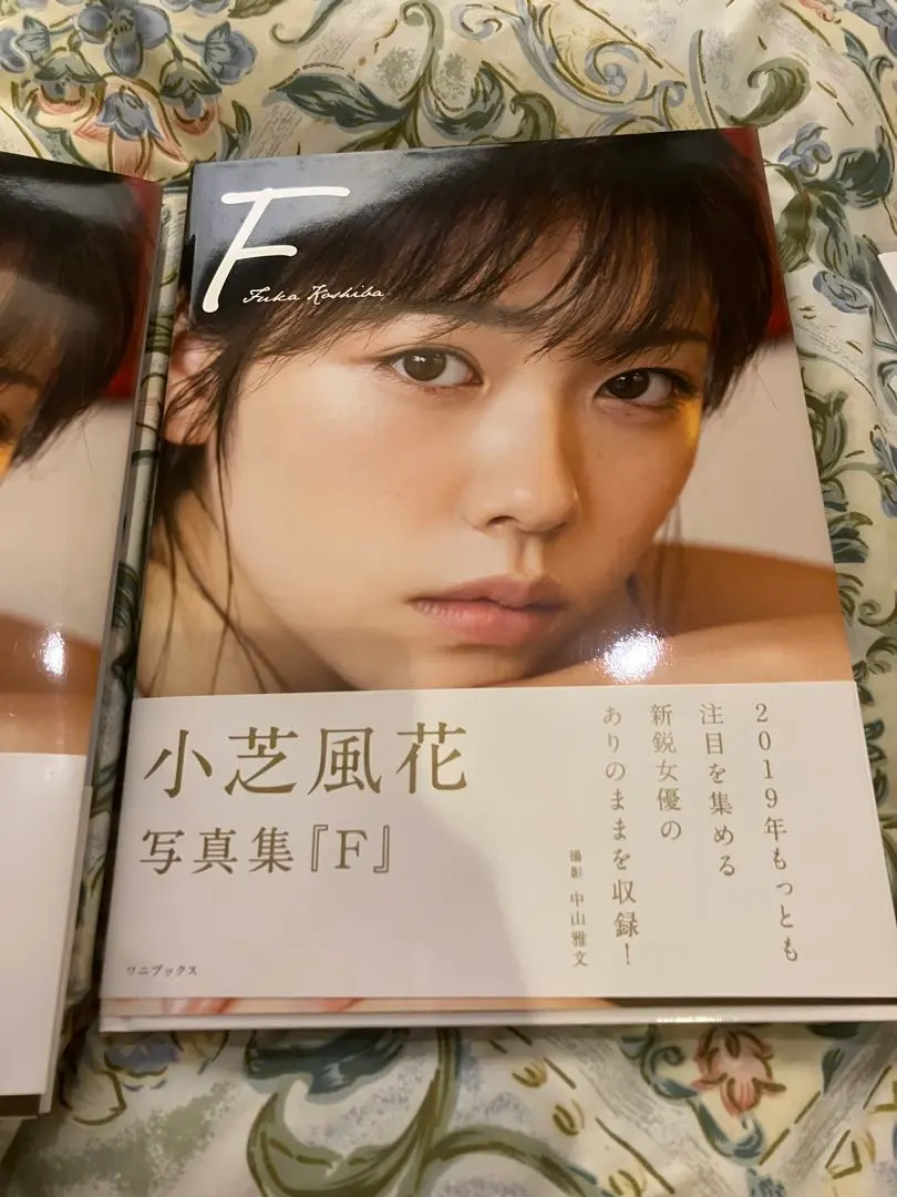 2026年最新】小芝風花 サインの人気アイテム - メルカリ