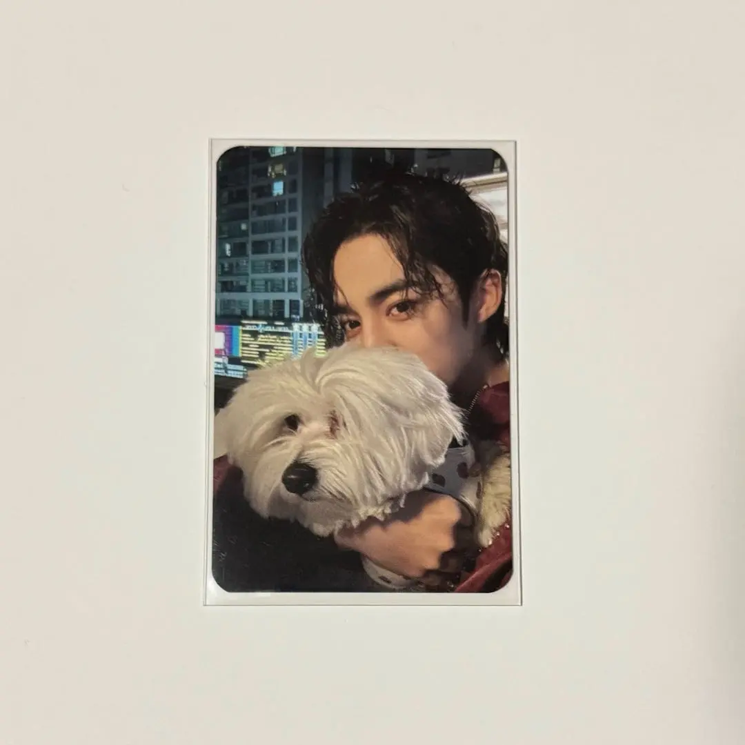 2026年最新】エスクプス fml yes24の人気アイテム - メルカリ